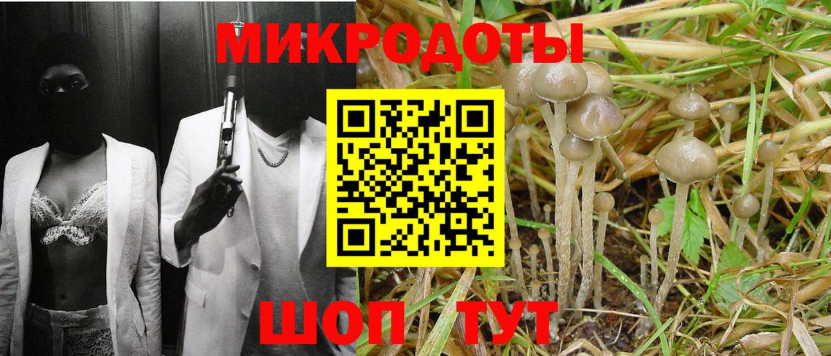 Псилоцибиновые грибы ЛСД  Вход с VPN  Псилоцибиновые грибы мухоморы  Жуковский 