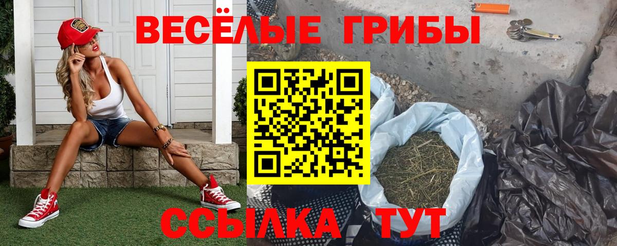Метадон Жуковский