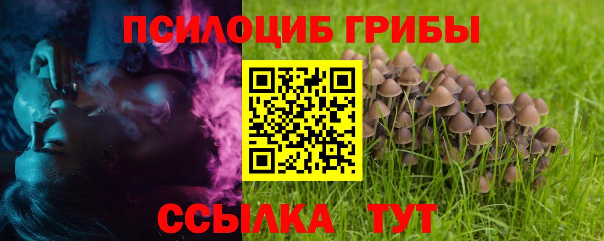Галлюциногенные грибы MAGIC MUSHROOMS Жуковский
